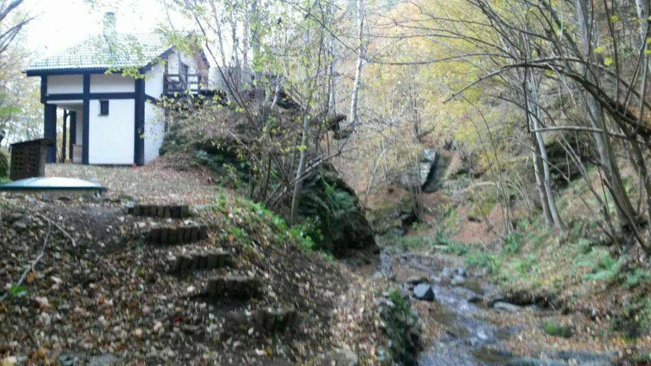 Cabana Crenguta Sibiu Buitenkant foto