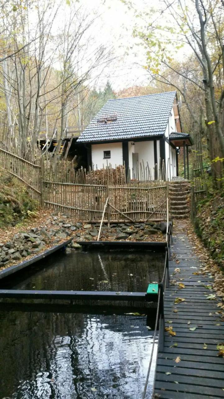 Cabana Crenguta Sibiu Buitenkant foto